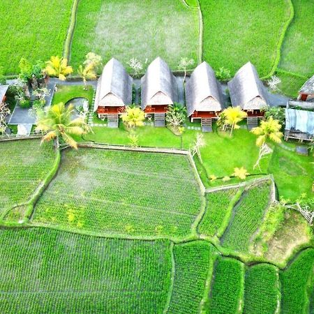 Pondok Gandalangu Ubud-Dikelilingi Hamparan Sawah Exterior foto