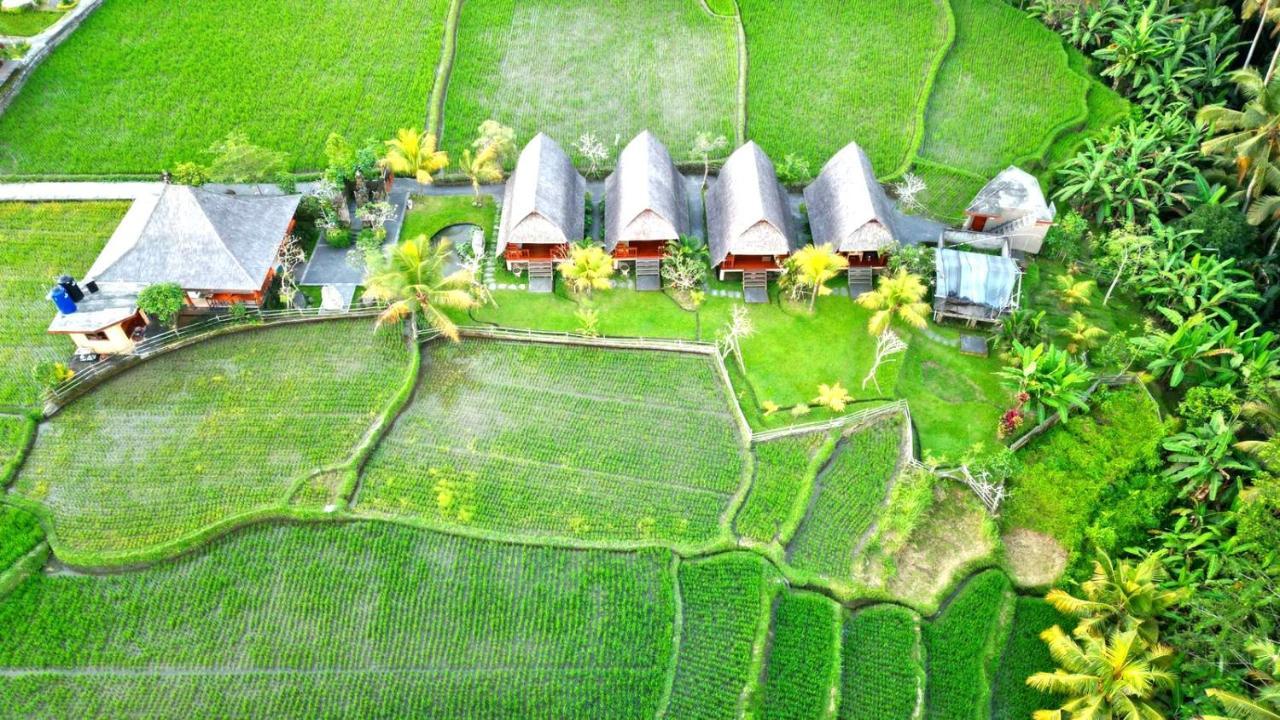 Pondok Gandalangu Ubud-Dikelilingi Hamparan Sawah Exterior foto