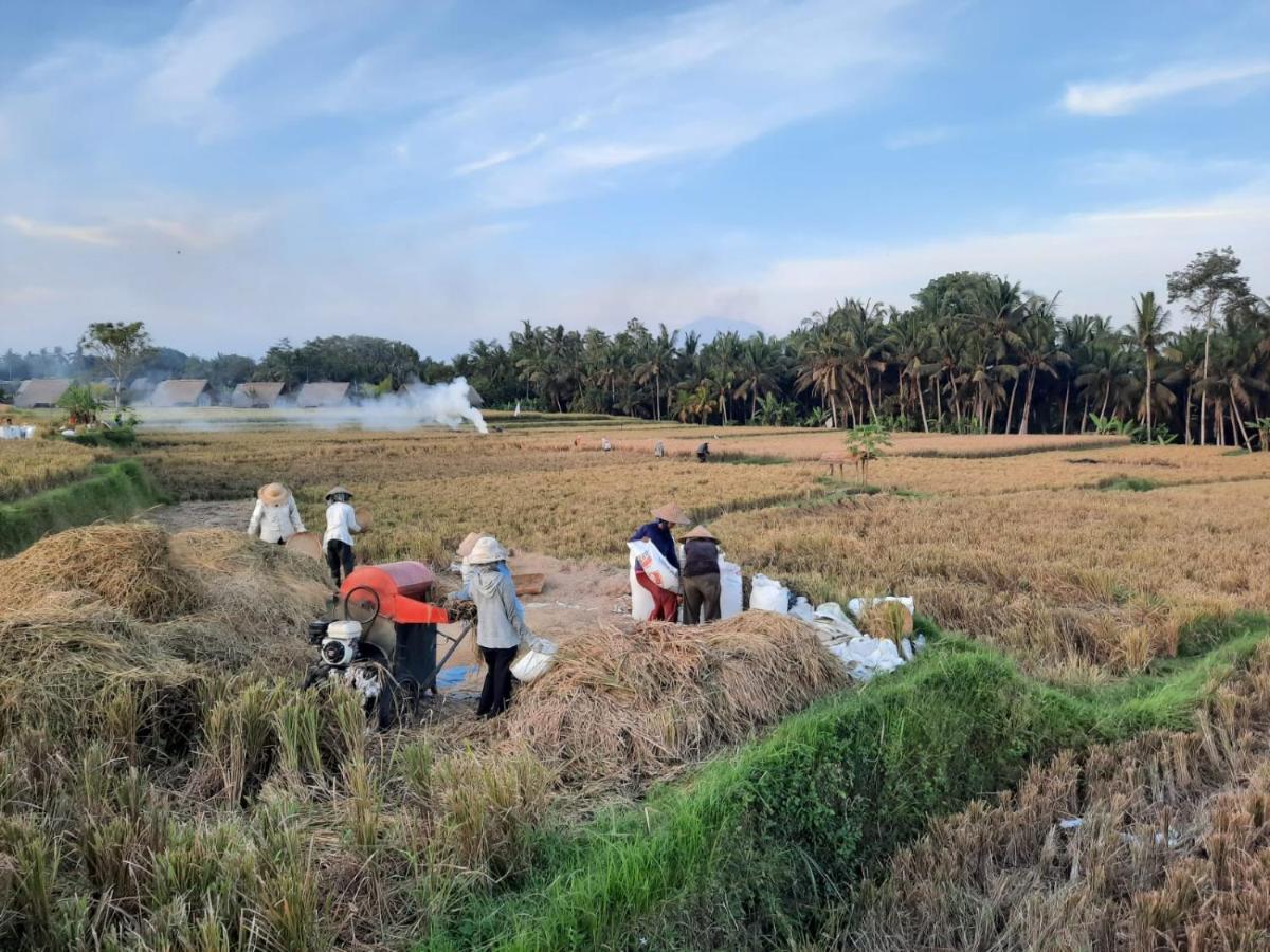 Pondok Gandalangu Ubud-Dikelilingi Hamparan Sawah Exterior foto