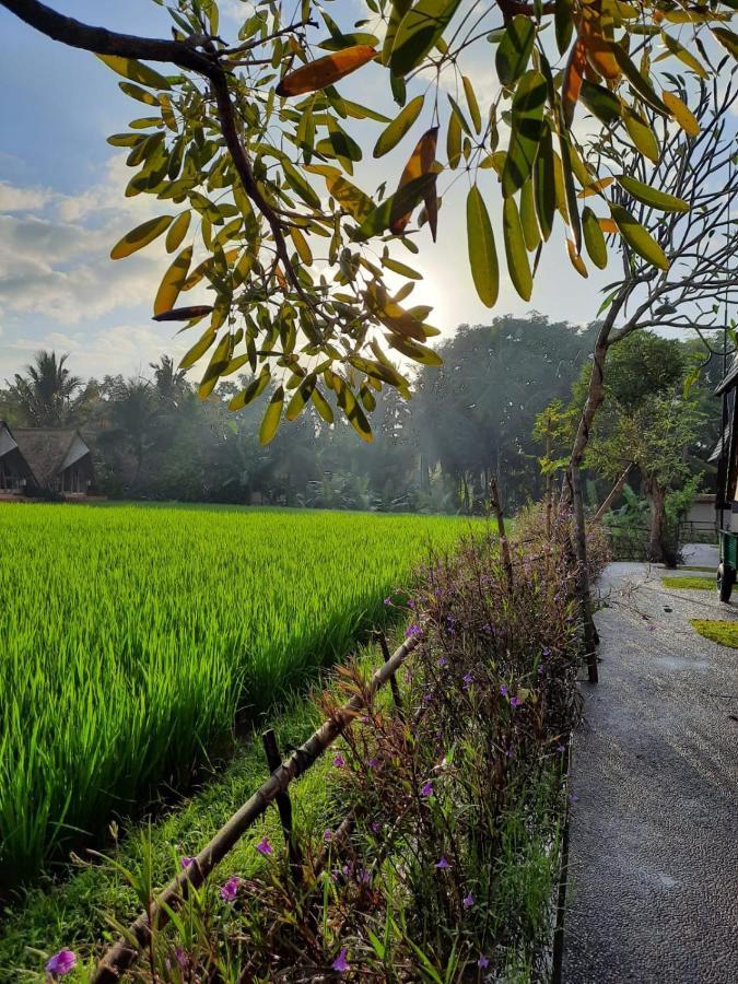 Pondok Gandalangu Ubud-Dikelilingi Hamparan Sawah Exterior foto